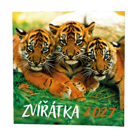 Obrázek
