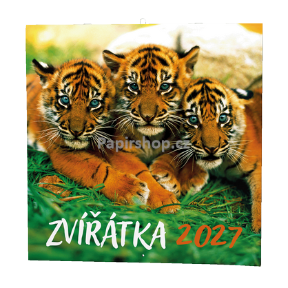 Obrázek